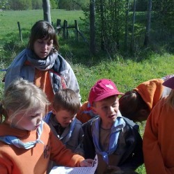 52010579 - Scouts en Gidsen Zaventem 